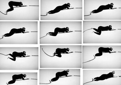 Mestrom.Still_Moving_Video_Stills_2009