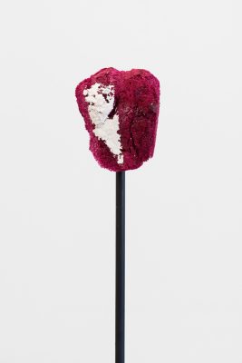 Sanne Mestrom, ‘Dear Hany’, 2015